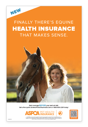 Equine Insurance Poster