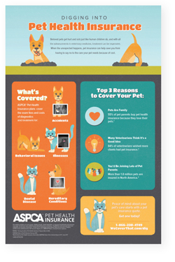 Digging Into Pet Health Insurance Poster