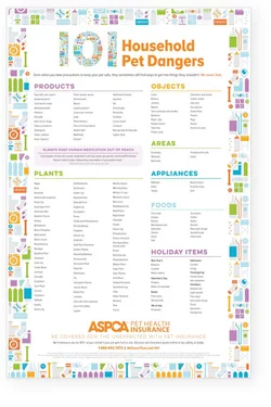 101 Household Pet Dangers Poster