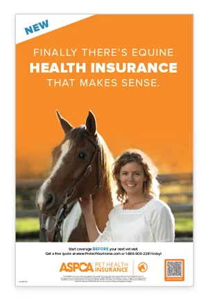 Equine Insurance Poster