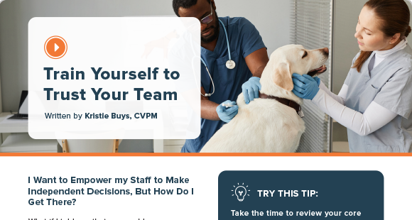 Train Yourself to Trust Your Team article preview