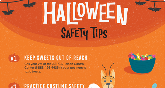 Halloween Safety Tips_Infographic_2025